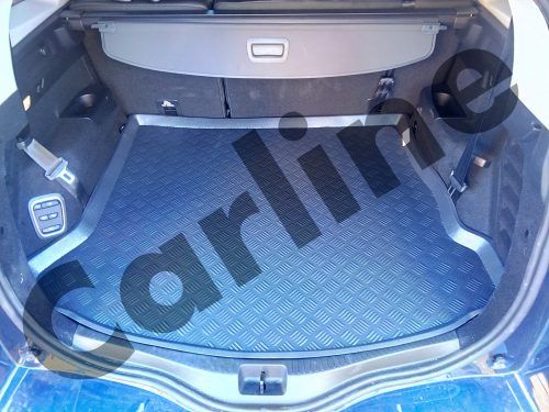 RENBAULT G.SCENIC IV 7PL Carline