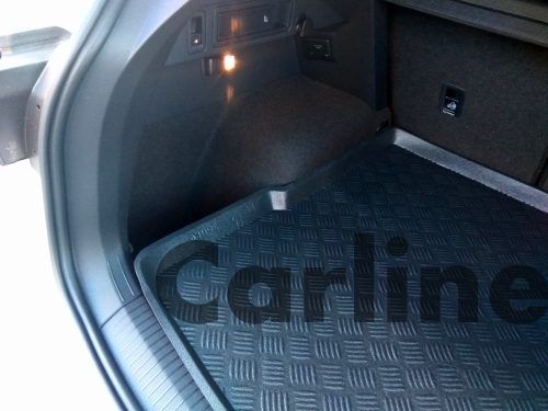 VW TIGUAN III P.ALTA2 Carline
